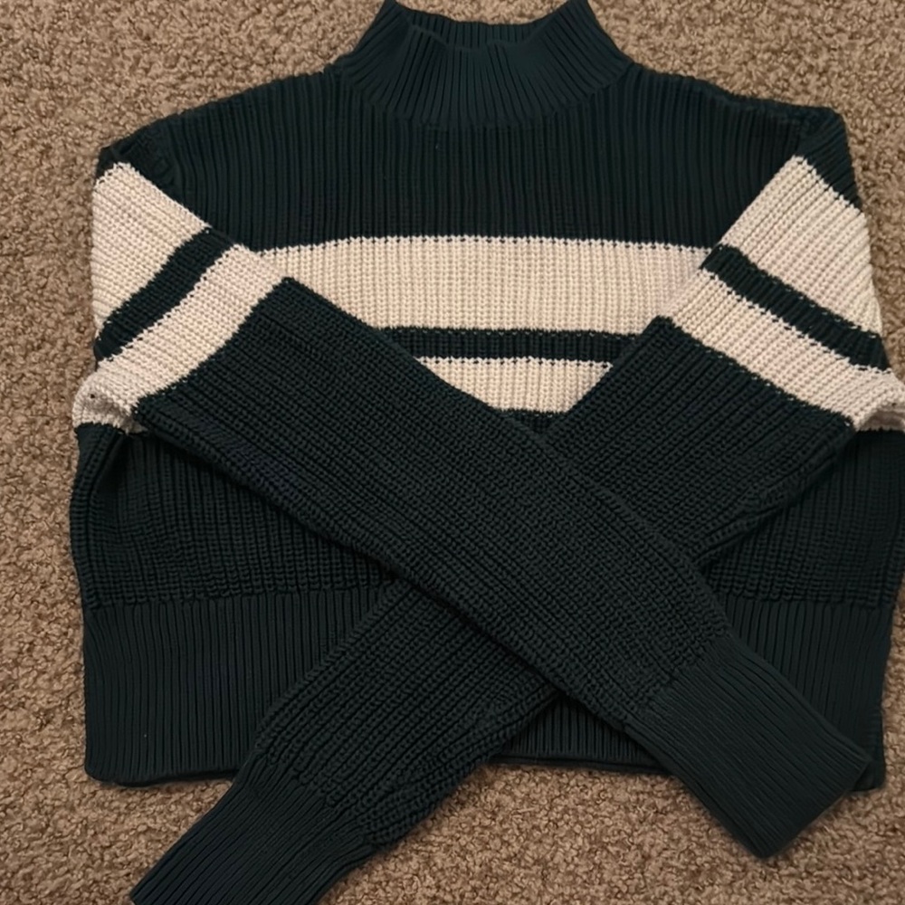 Striped Turtleneck Sweater - Dark Green and Cream